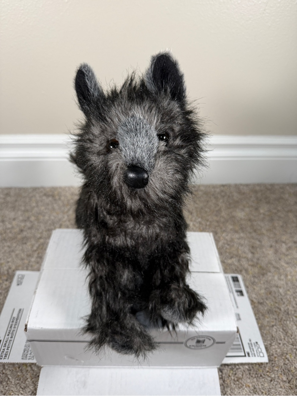 Douglas Cuddle Toys Retired Hazel Cairn Terrier Puppy Dog 12”Plush #2047
